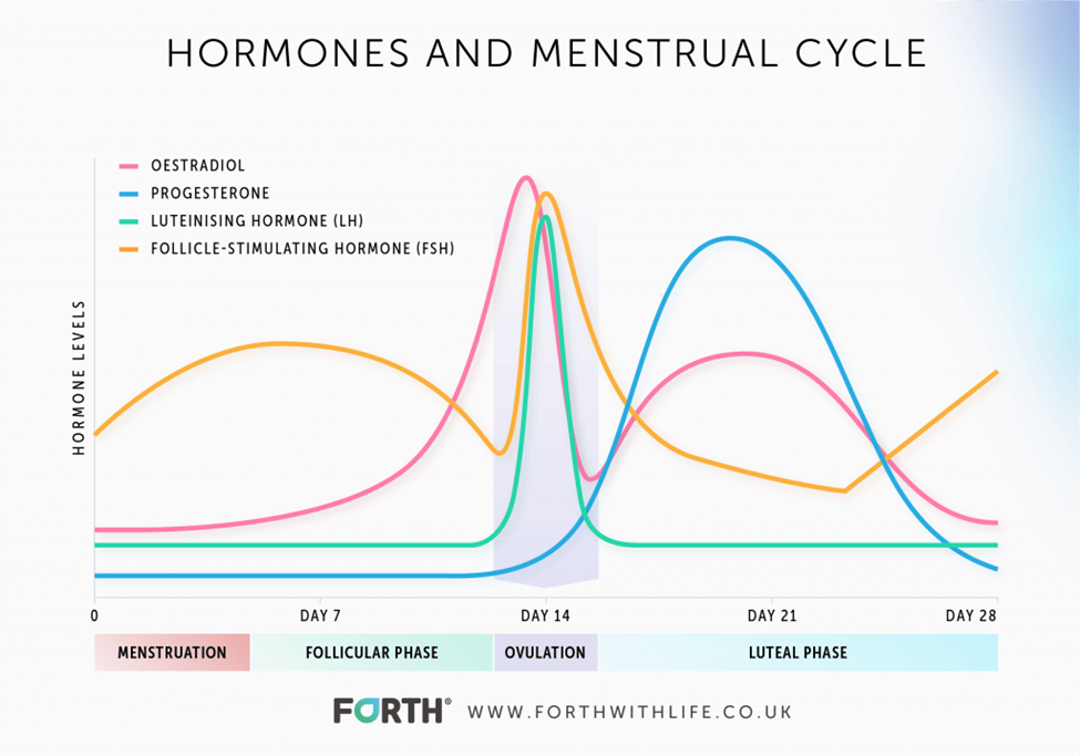 Progesterone: Luteal Phase Deficiency — Natalie Crawford MD