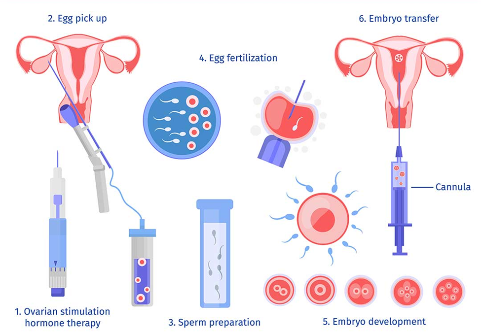 Progesterone: Luteal Phase Deficiency — Natalie Crawford MD